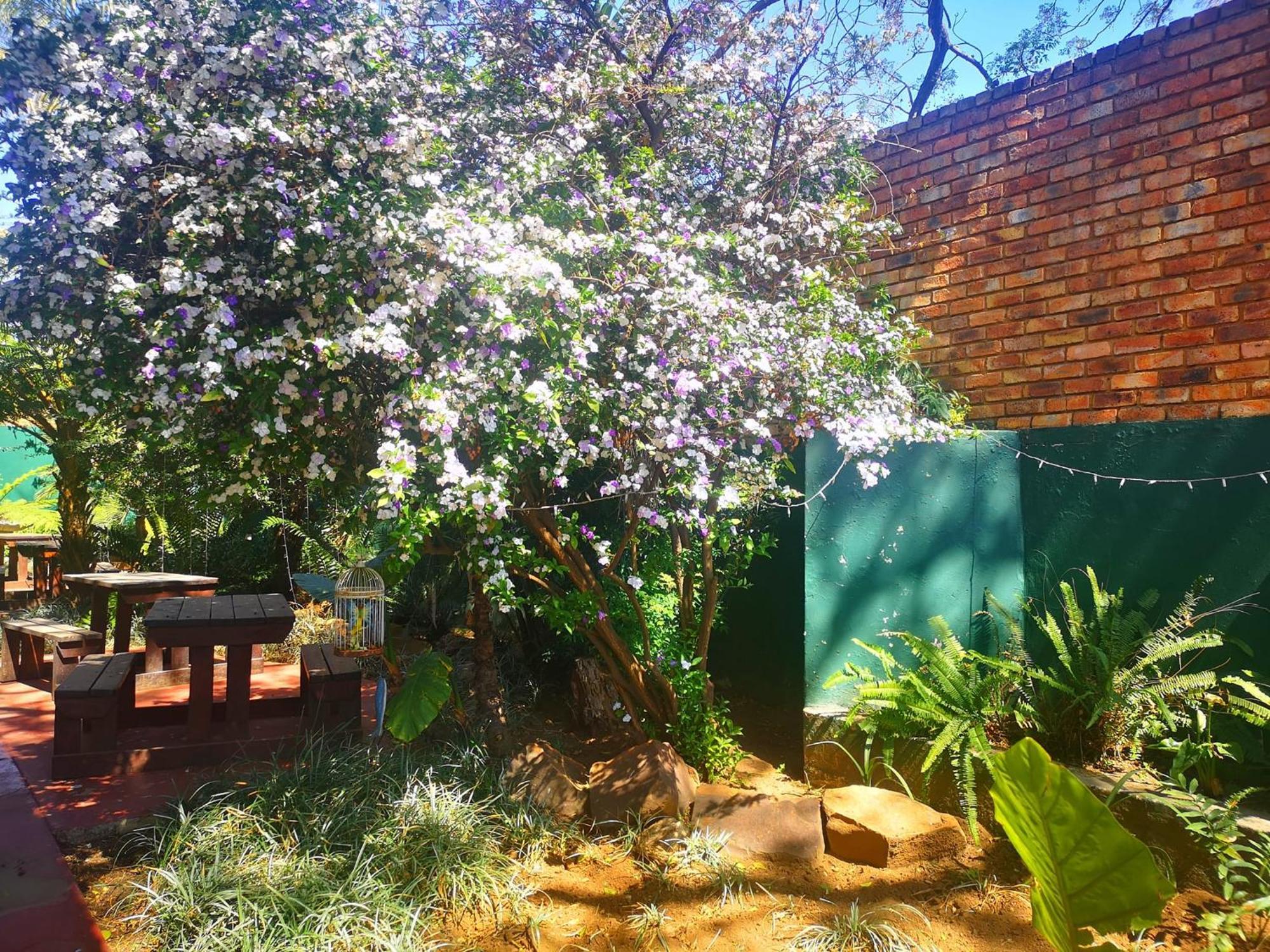 Elsjes Guesthouse Kempton Park Exterior photo